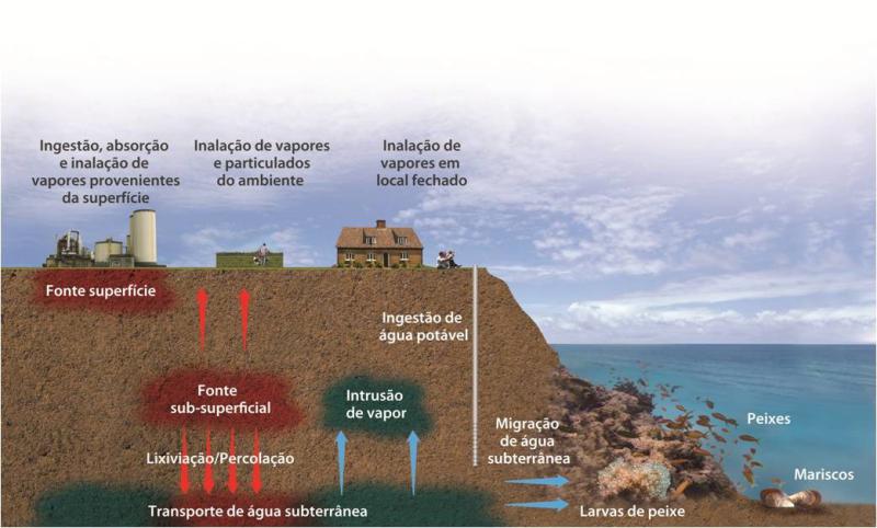 Gerenciamento de áreas contaminadas