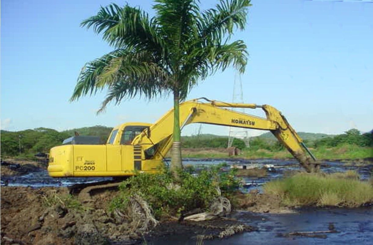 Reabilitação ambiental